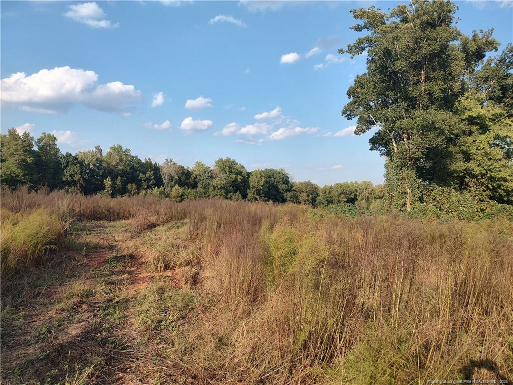 0 Fire Tower Road Property Photo 9