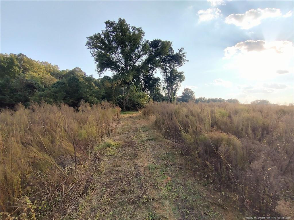 0 Fire Tower Road Property Photo 10