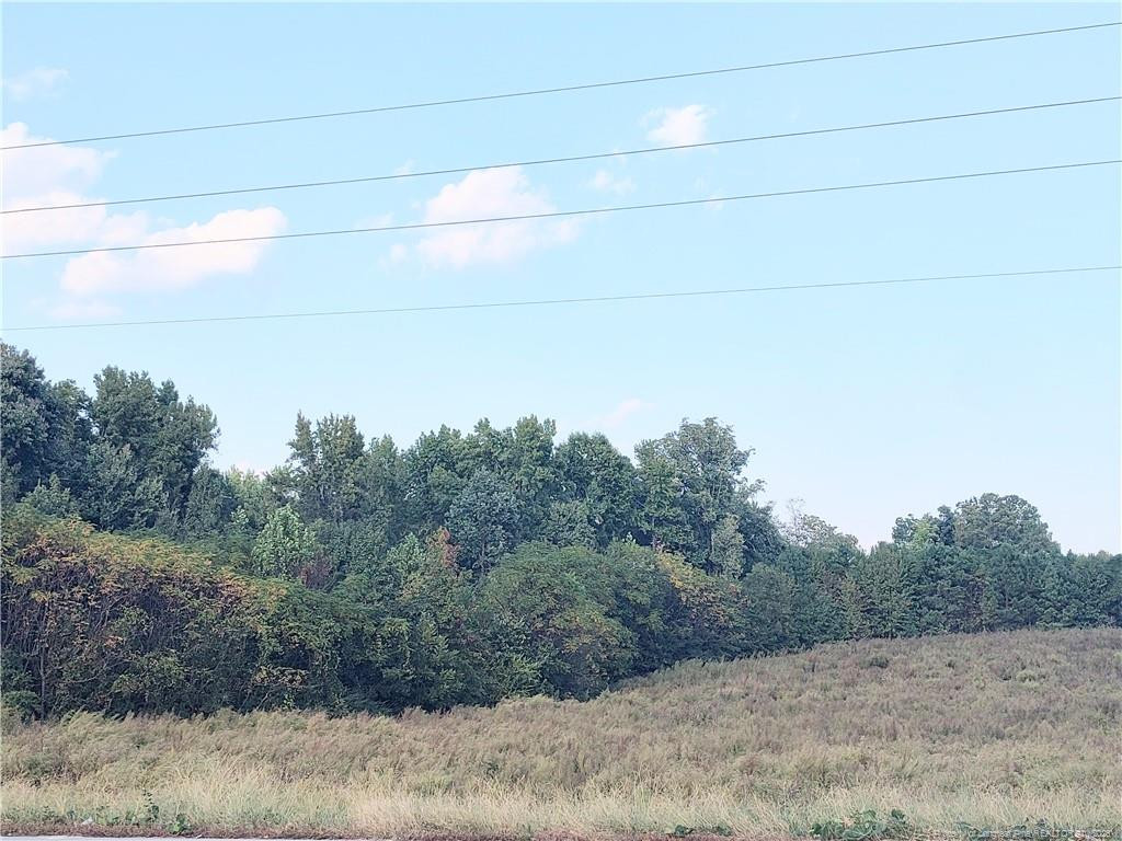 0 Fire Tower Road Property Photo 11