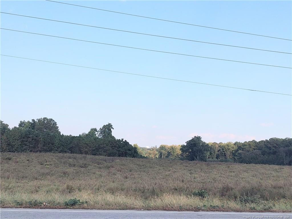 0 Fire Tower Road Property Photo 12