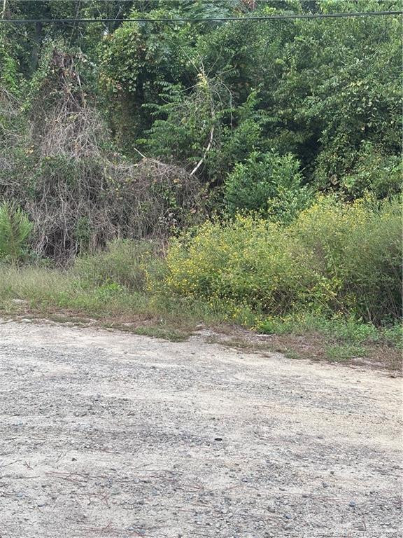 Pelt Drive Property Photo 5
