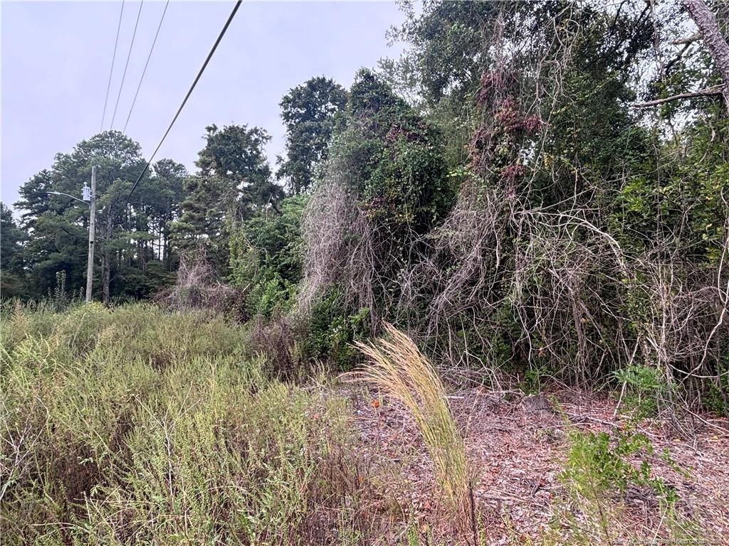 Pelt Drive Property Photo 6