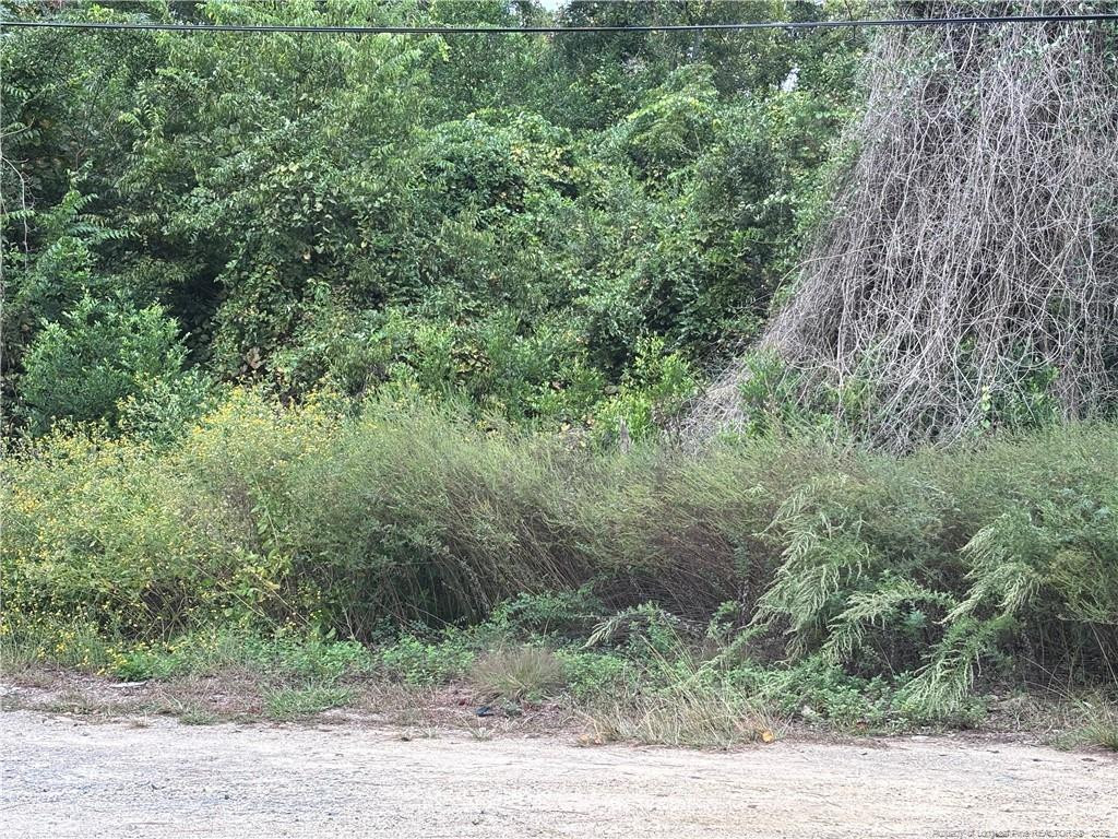 Pelt Drive Property Photo 7
