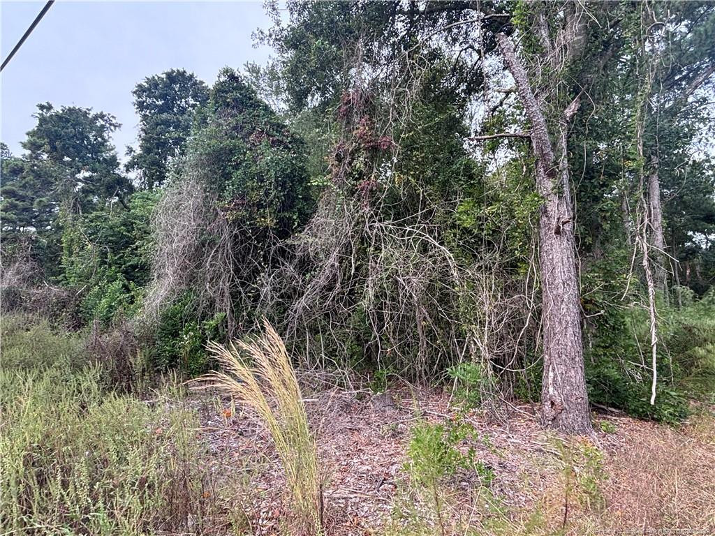 Pelt Drive Property Photo 10