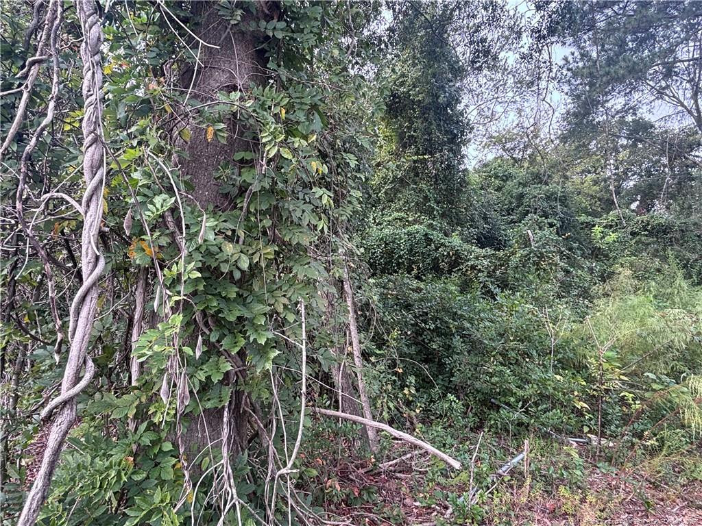 Pelt Drive Property Photo 11