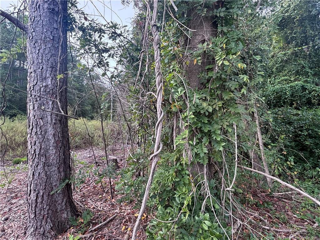 Pelt Drive Property Photo 12