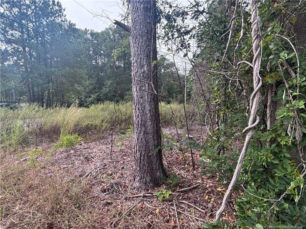 Pelt Drive Property Photo 13
