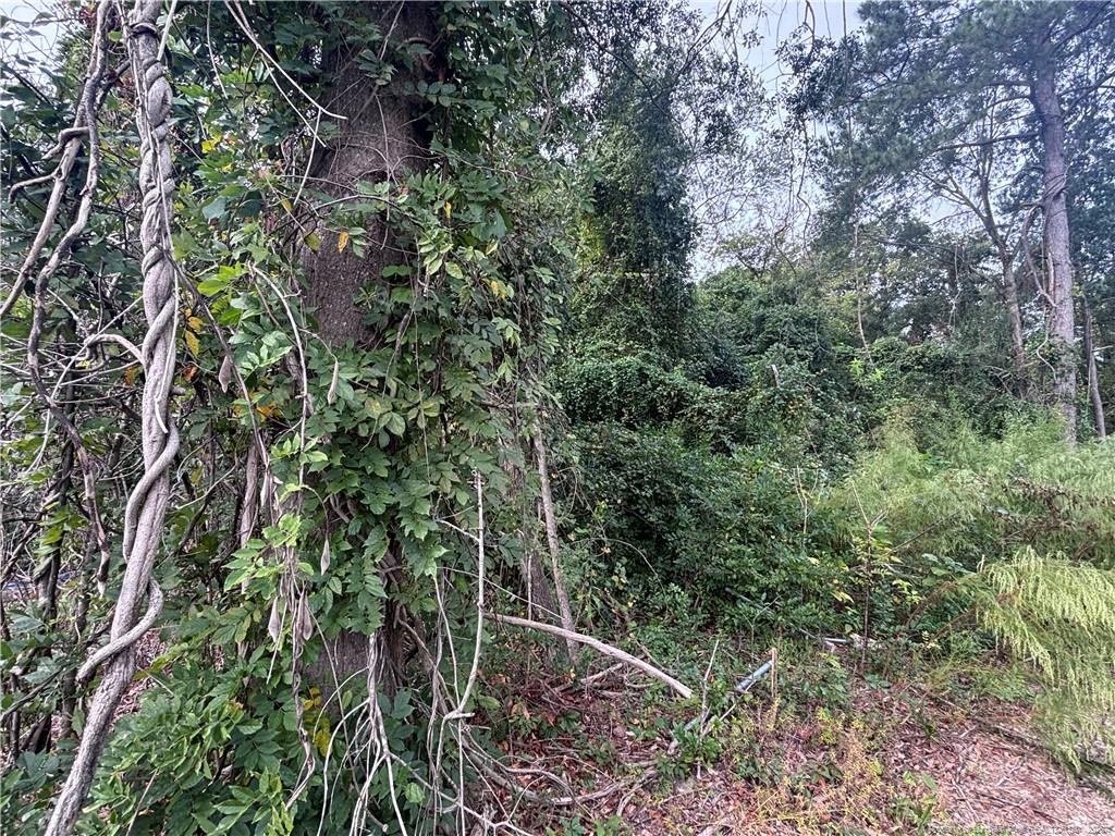 Pelt Drive Property Photo 14