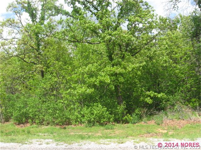 Bear Paw Path Road Property Photo 1