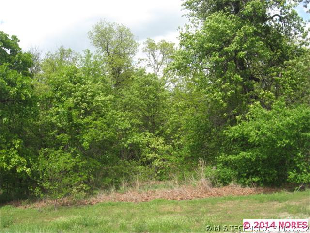 Bear Paw Path Road Property Photo 1