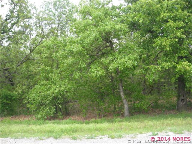 Bear Paw Path Road Property Photo 1