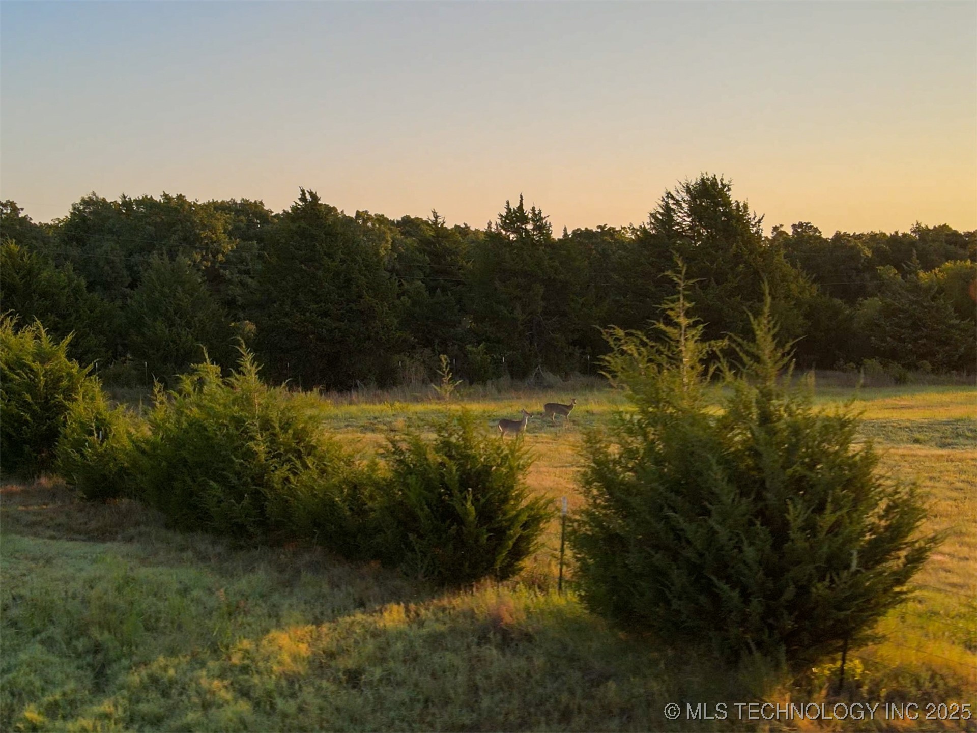 11 Westminster Avenue Property Photo 24