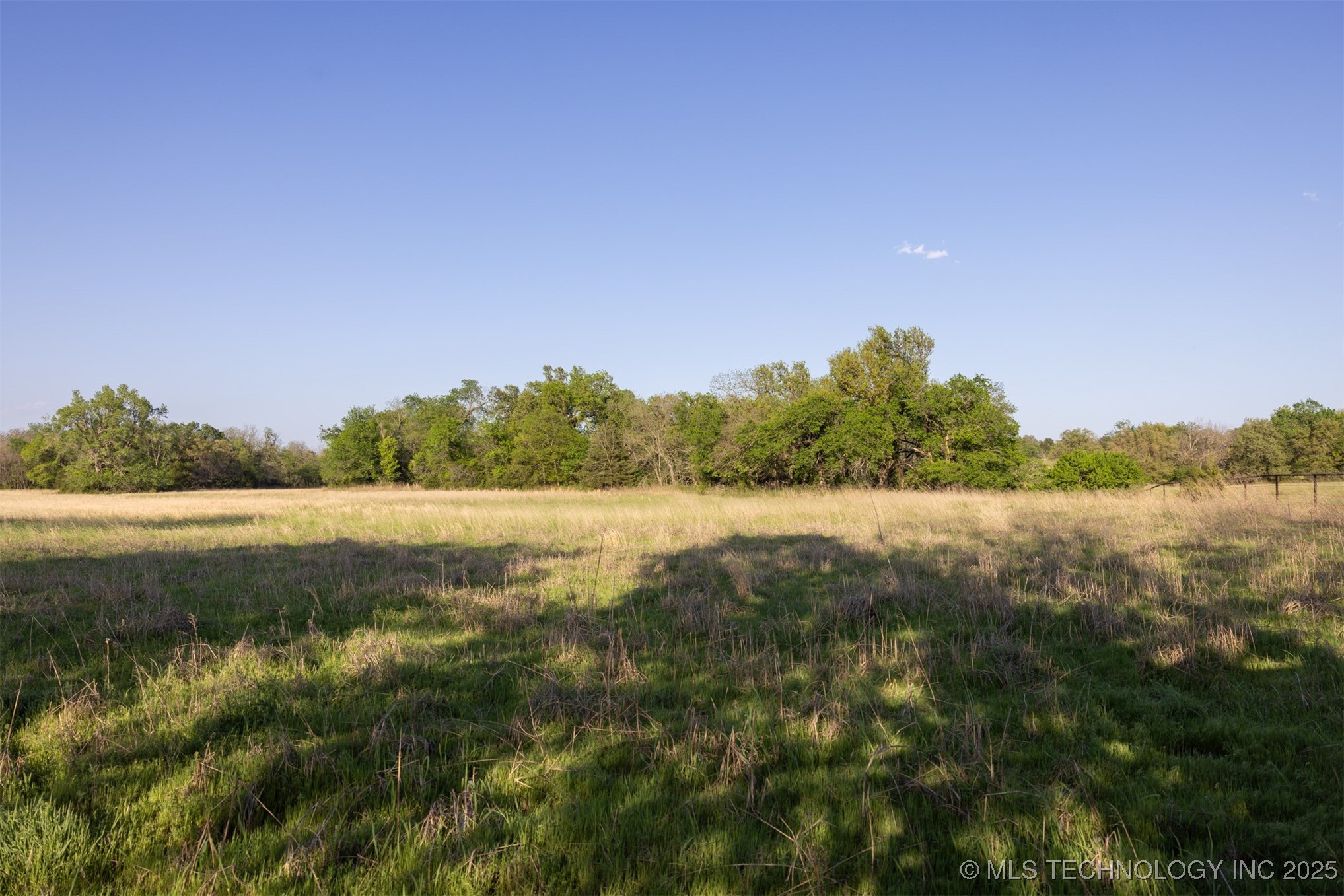 11 Westminster Avenue Property Photo 50