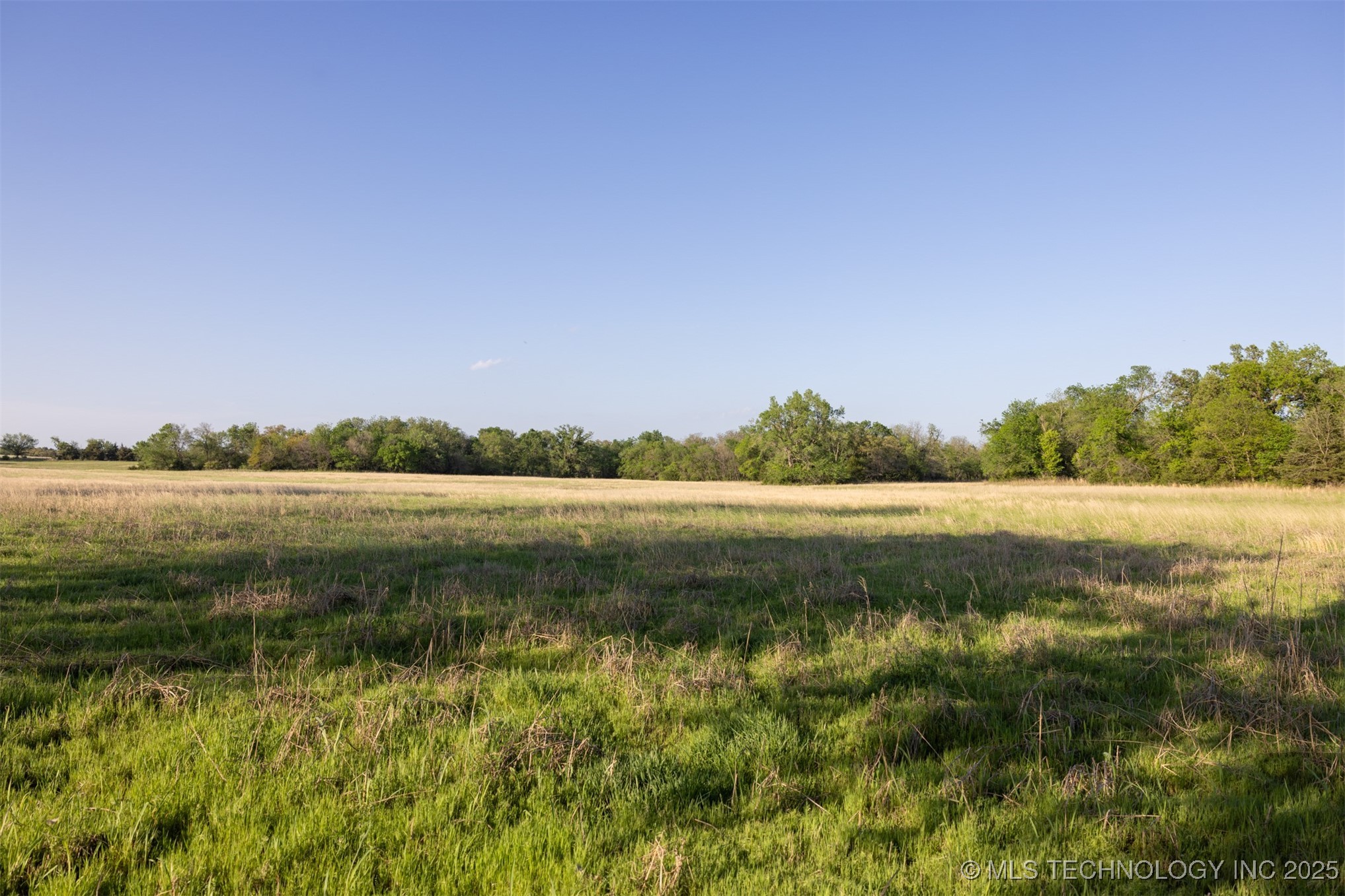 11 Westminster Avenue Property Photo 51