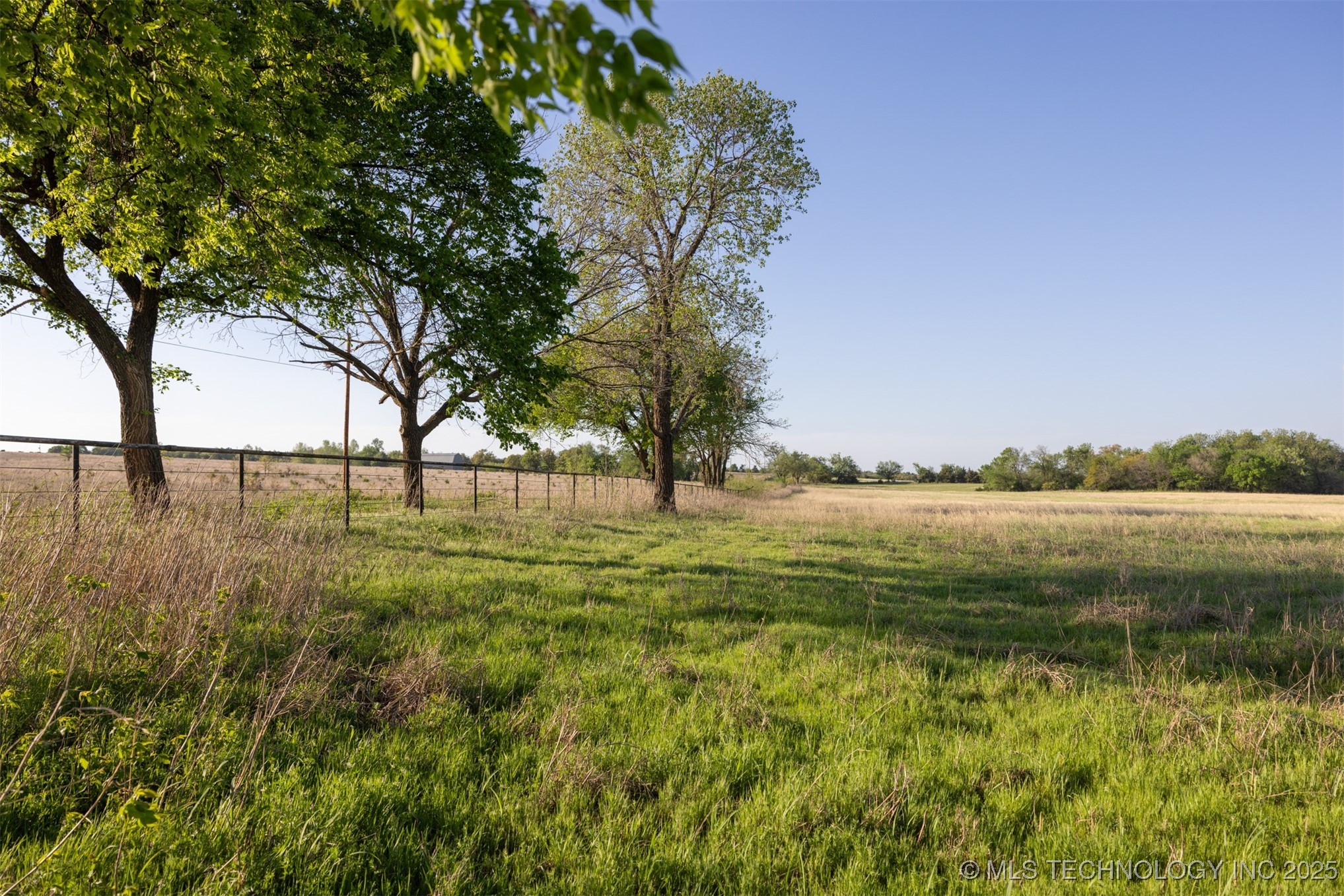 11 Westminster Avenue Property Photo 52