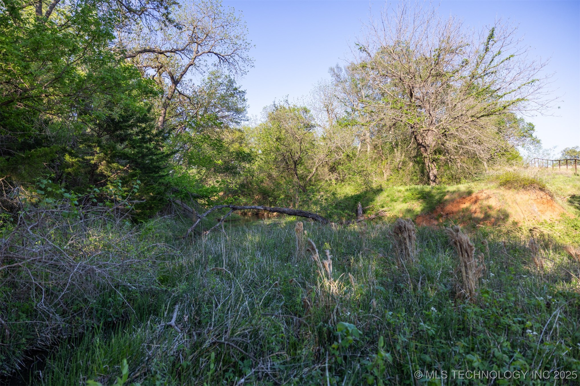11 Westminster Avenue Property Photo 61