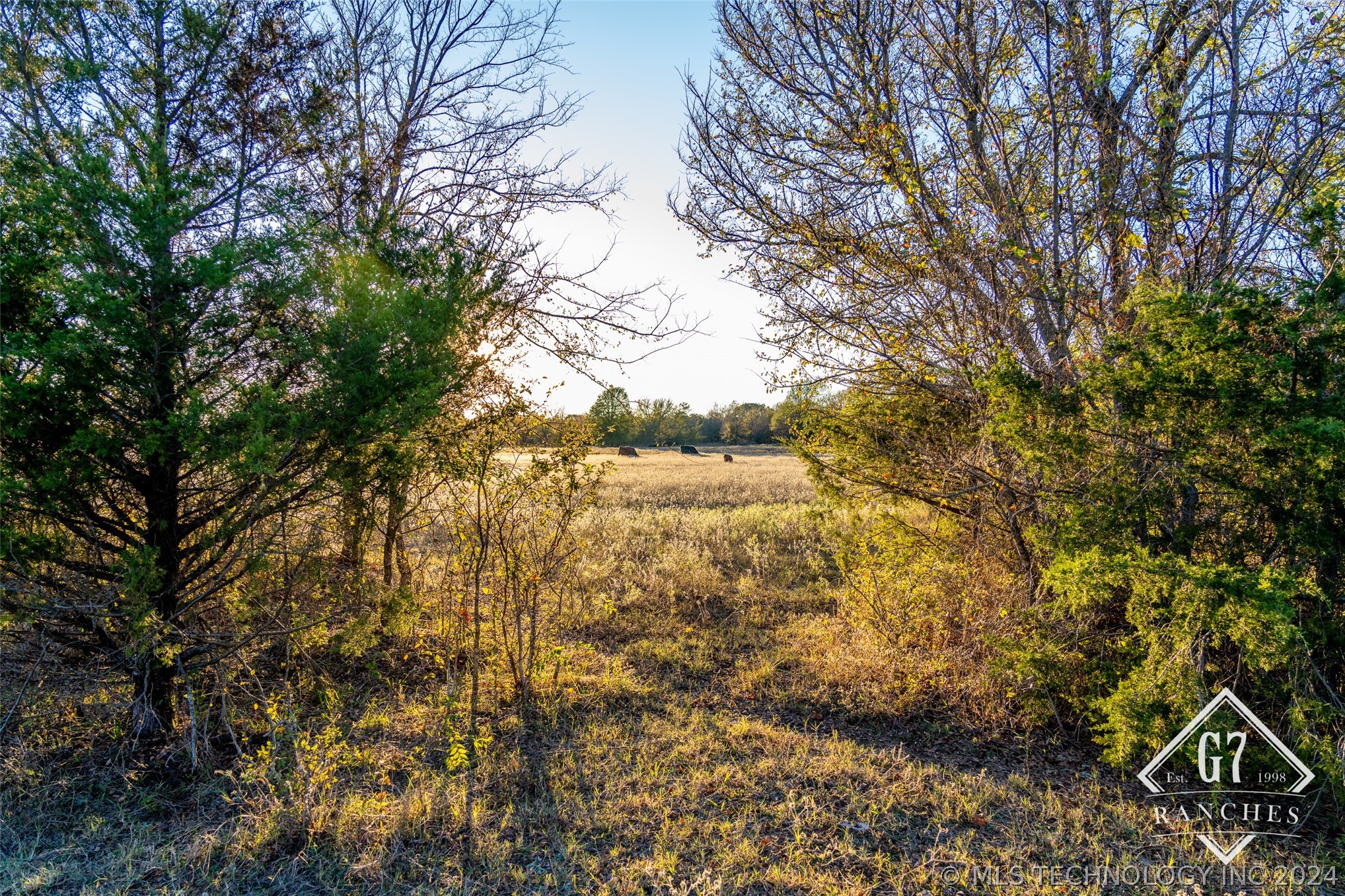 1000 Harper Valley Road Property Photo 5