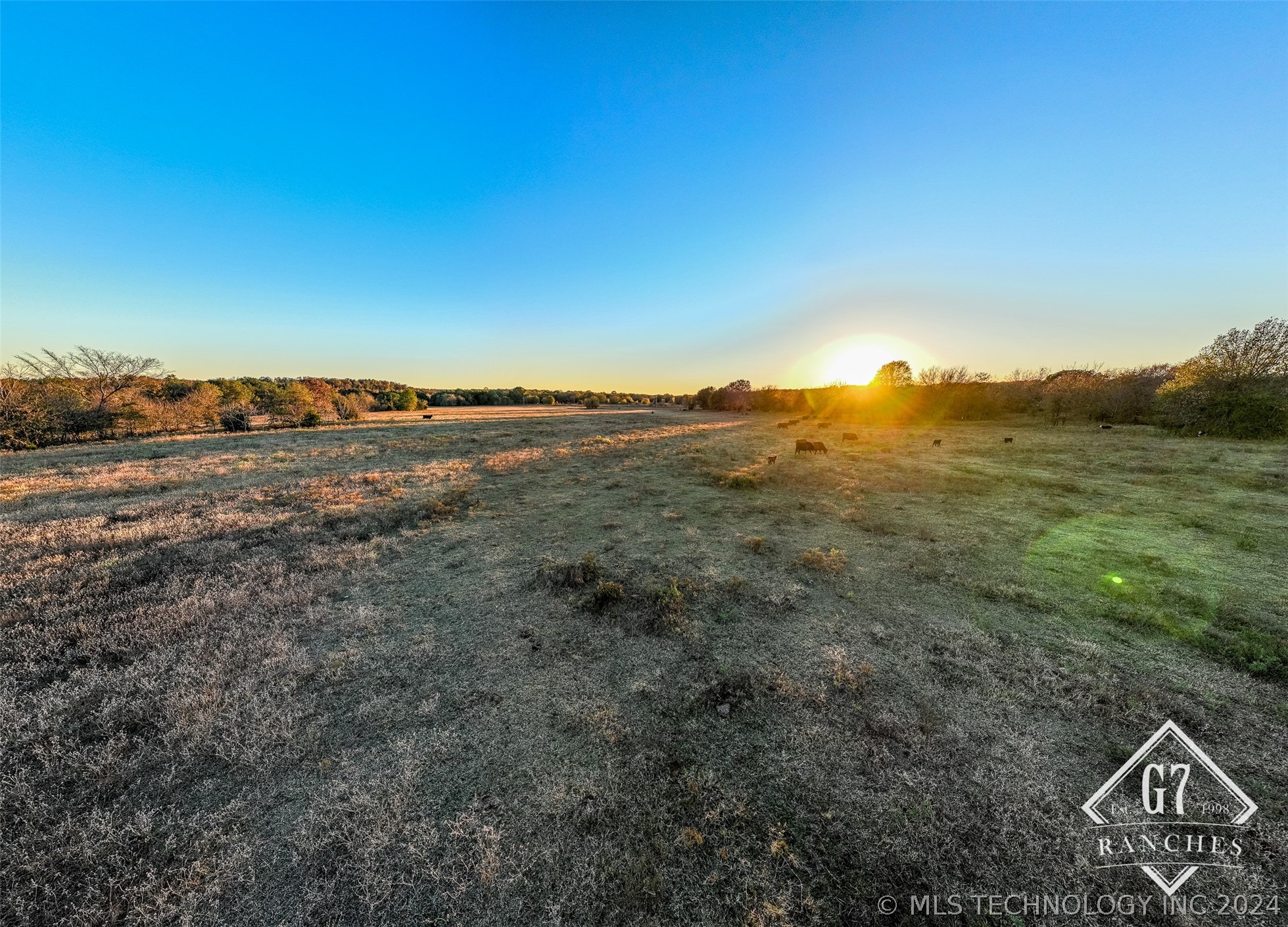 1000 Harper Valley Road Property Photo 6