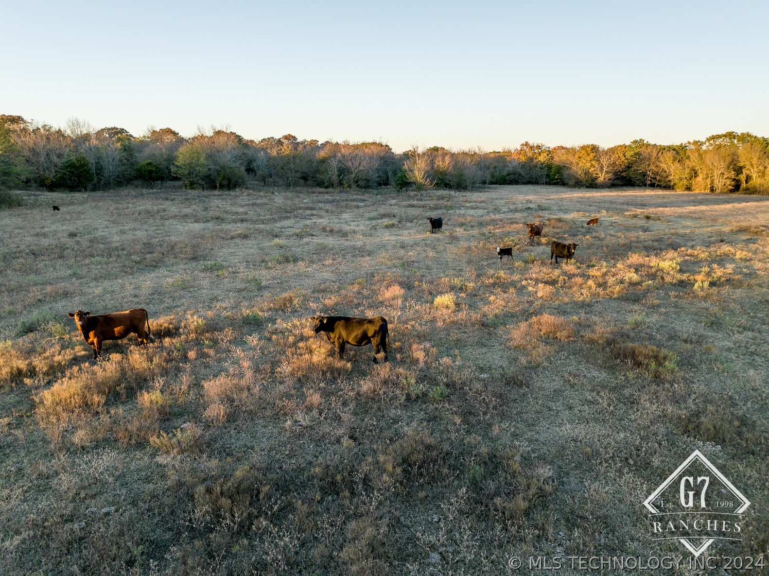 1000 Harper Valley Road Property Photo 7