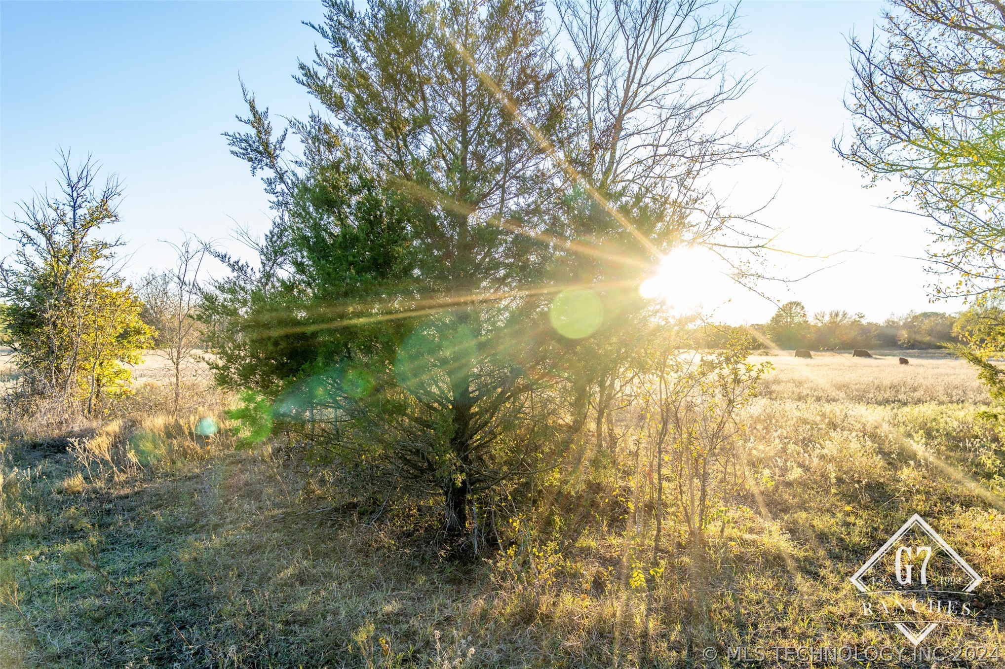 1000 Harper Valley Road Property Photo 14