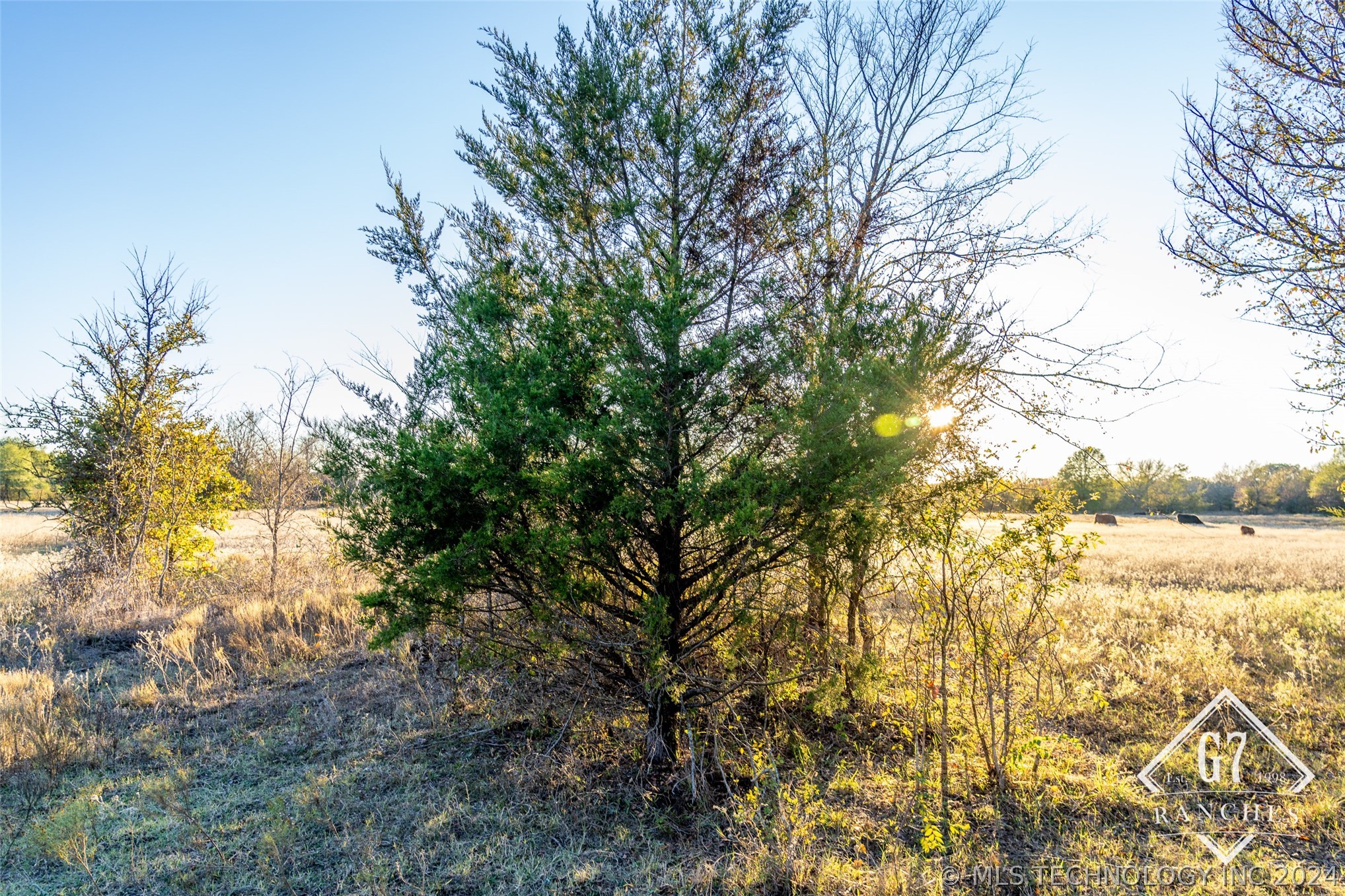 1000 Harper Valley Road Property Photo 48