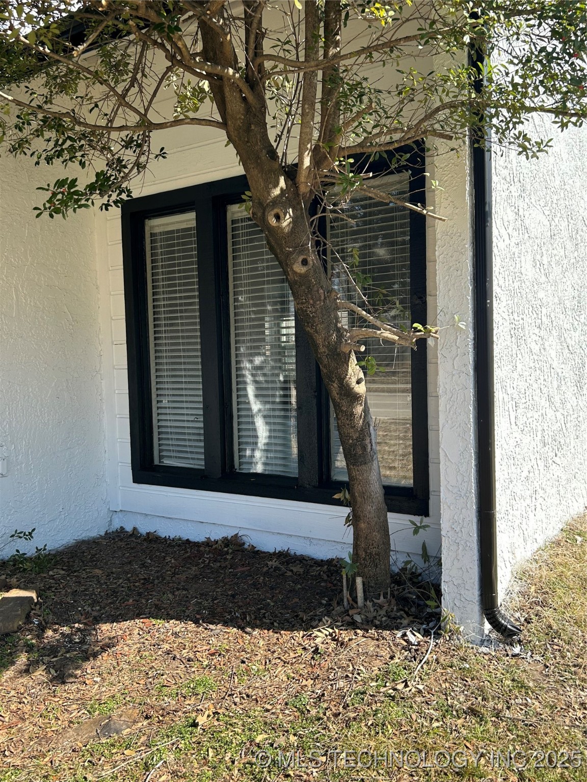 5117 S Lions Avenue Property Photo 26