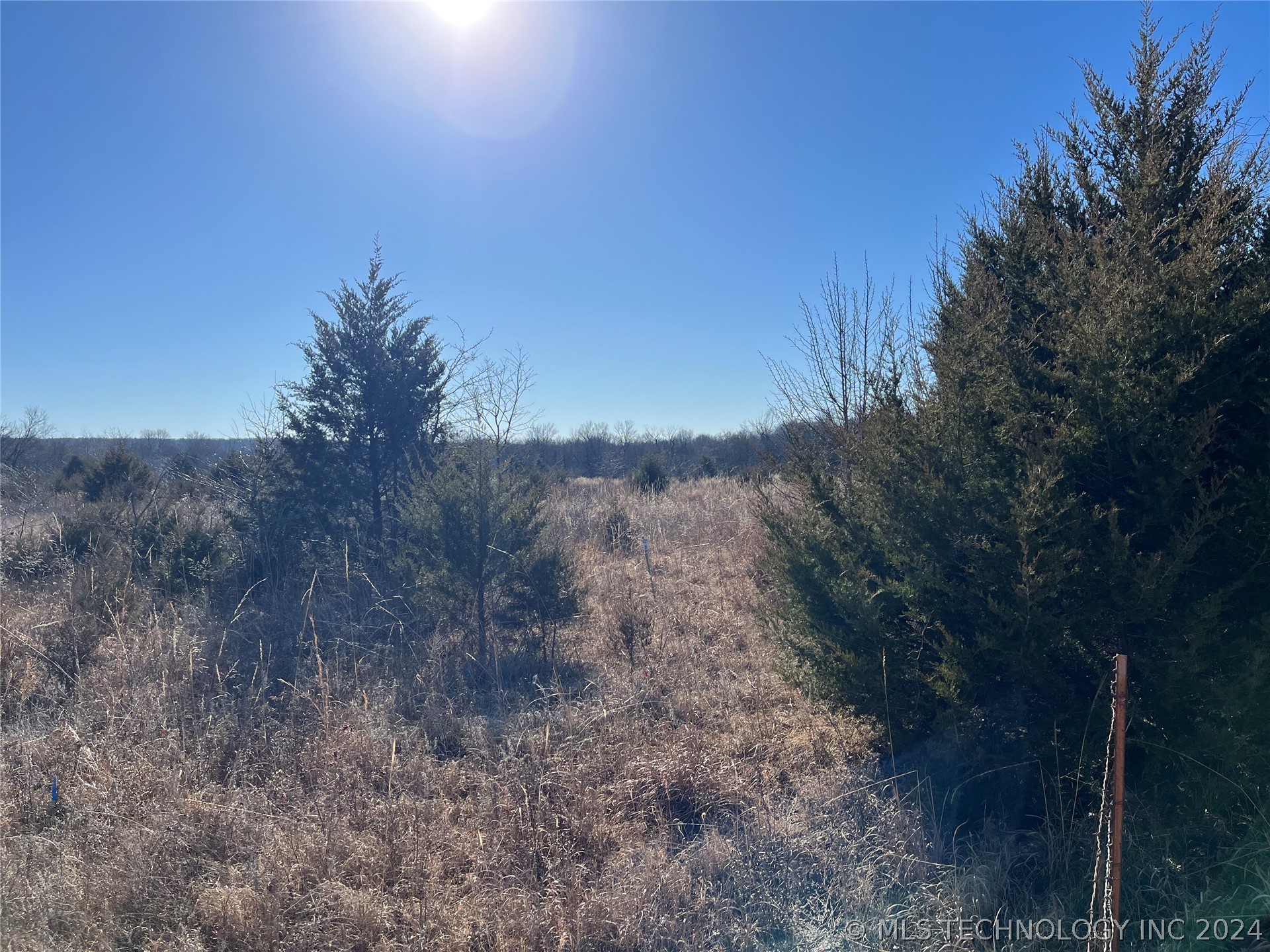 0 E State 31 Highway Property Photo 2