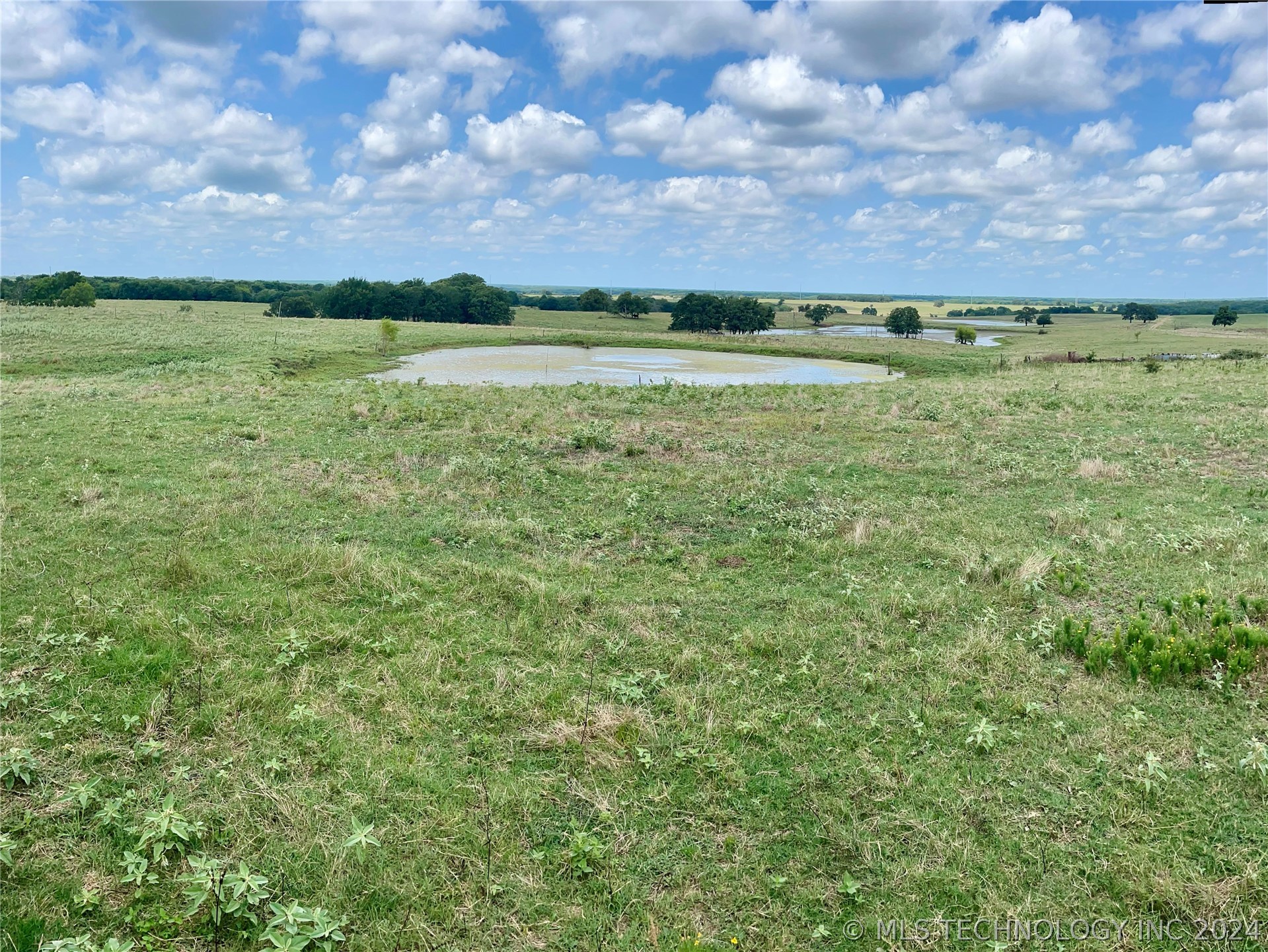 9162 State Hwy 78 Property Photo 17