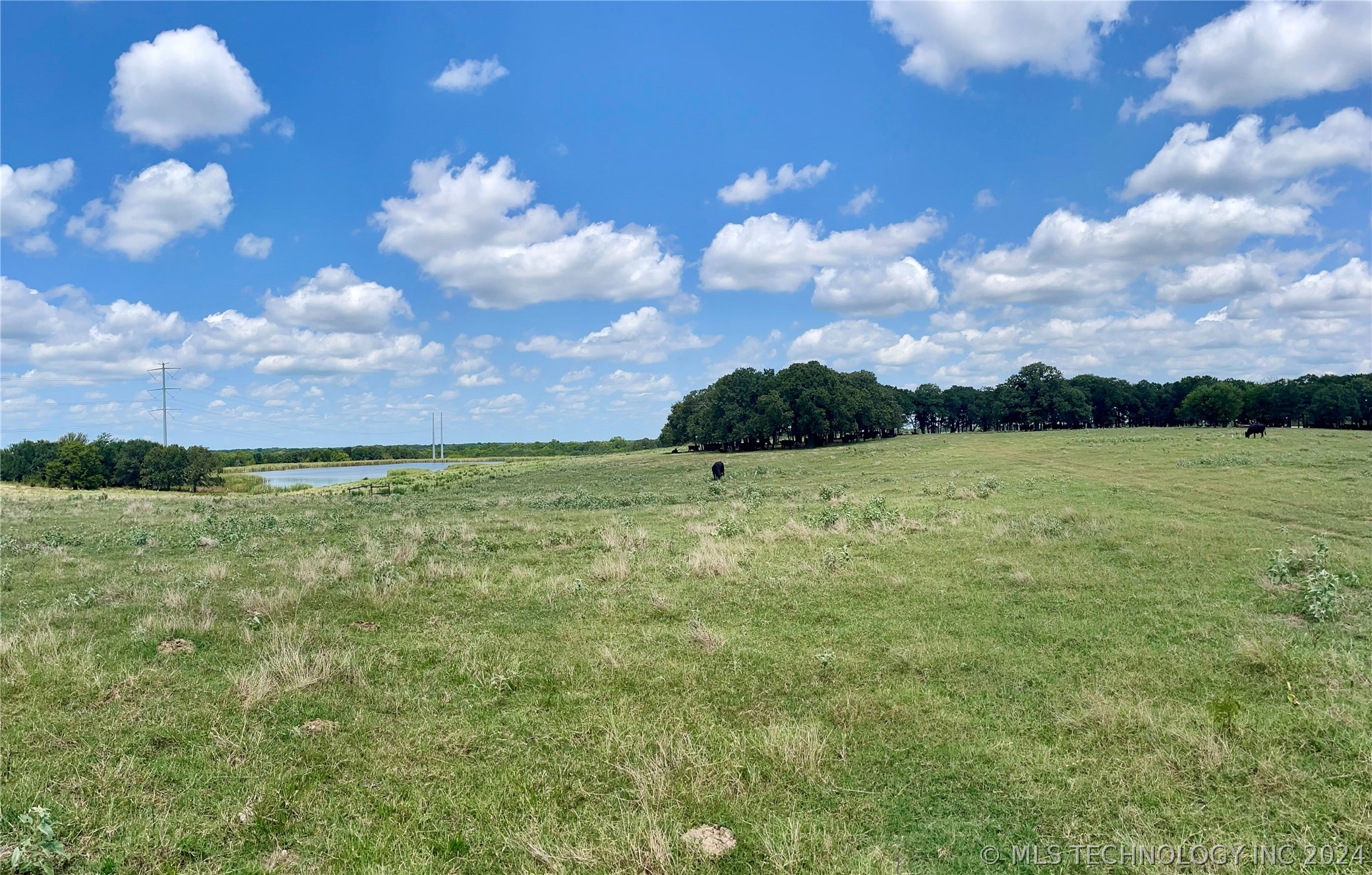 9162 State Hwy 78 Property Photo 28