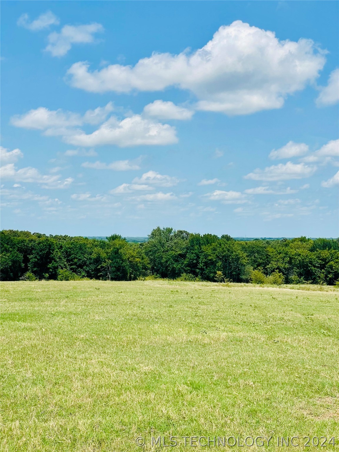 9162 State Hwy 78 Property Photo 36