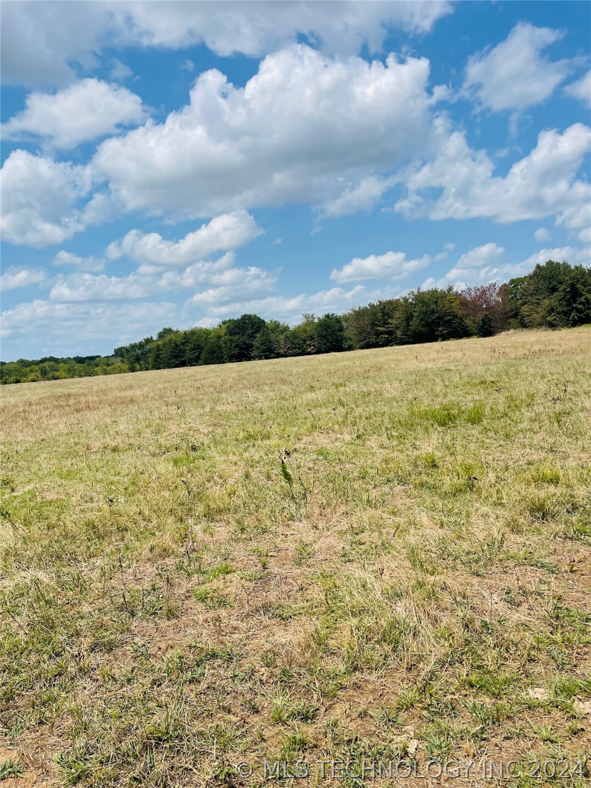9162 State Hwy 78 Property Photo 52
