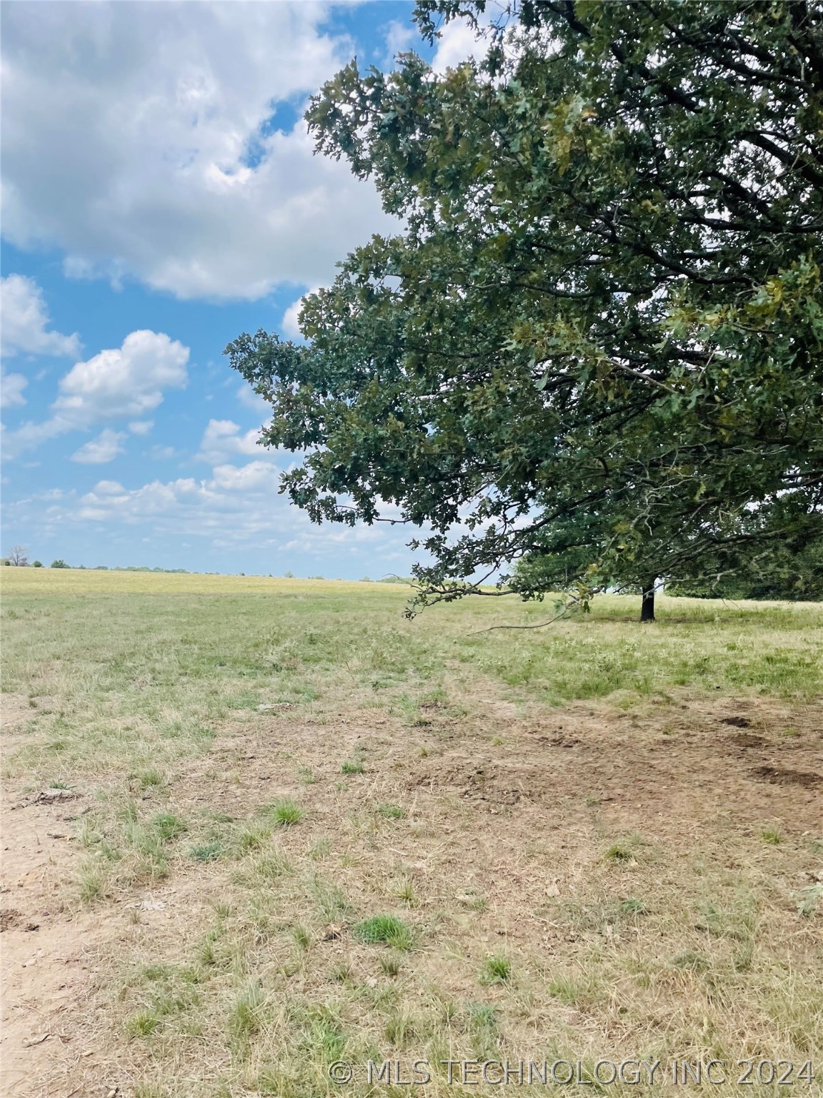 9162 State Hwy 78 Property Photo 53