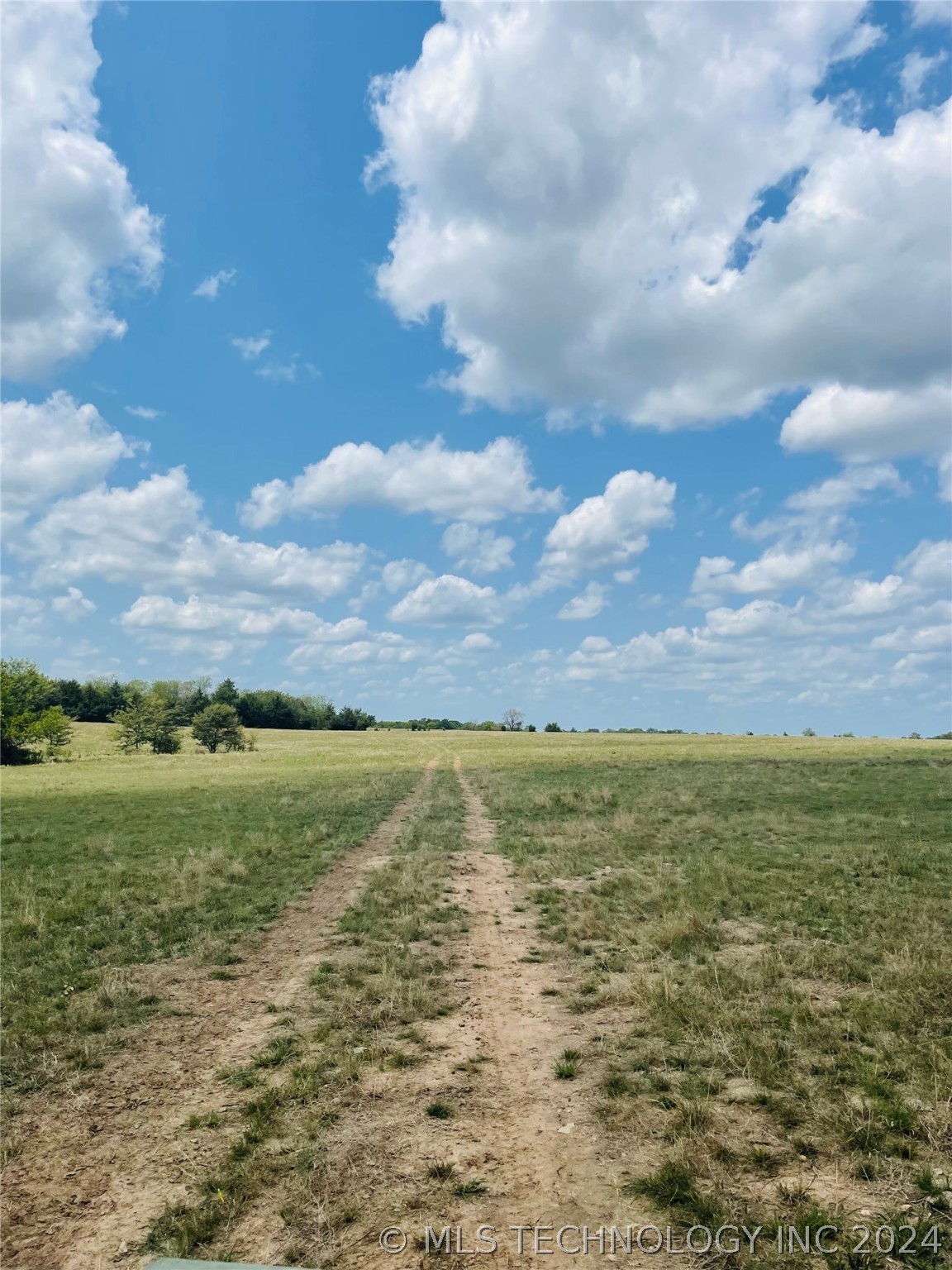 9162 State Hwy 78 Property Photo 54