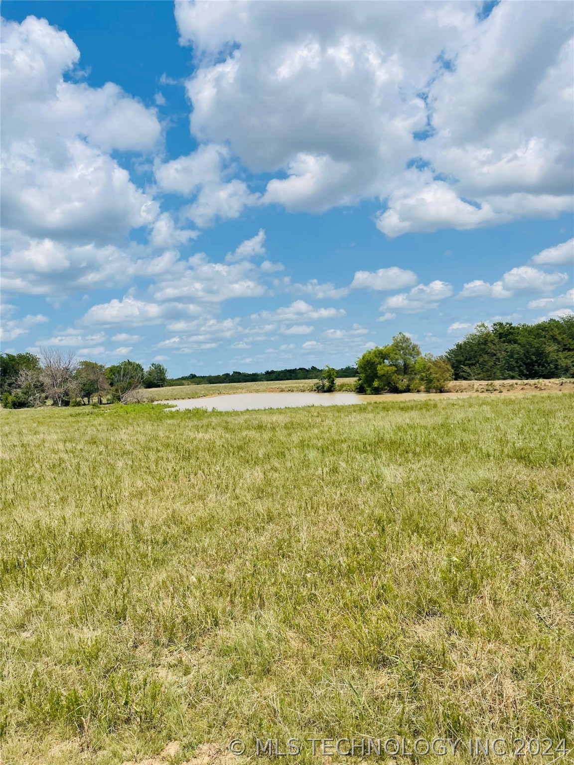 9162 State Hwy 78 Property Photo 55