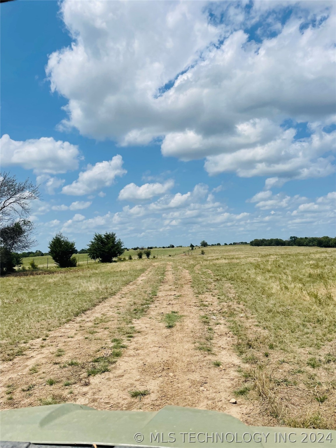 9162 State Hwy 78 Property Photo 56