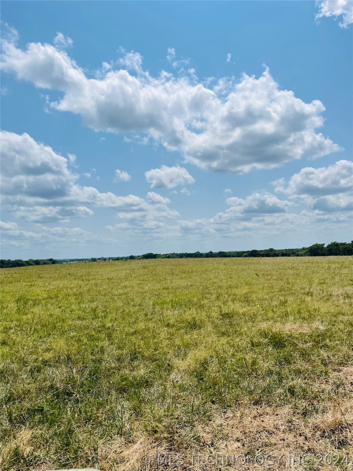 9162 State Hwy 78 Property Photo 57