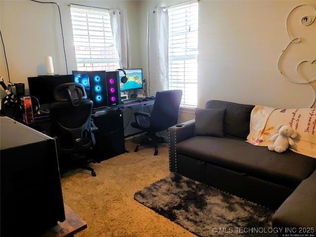 4816 Lake Shore Property Photo 8