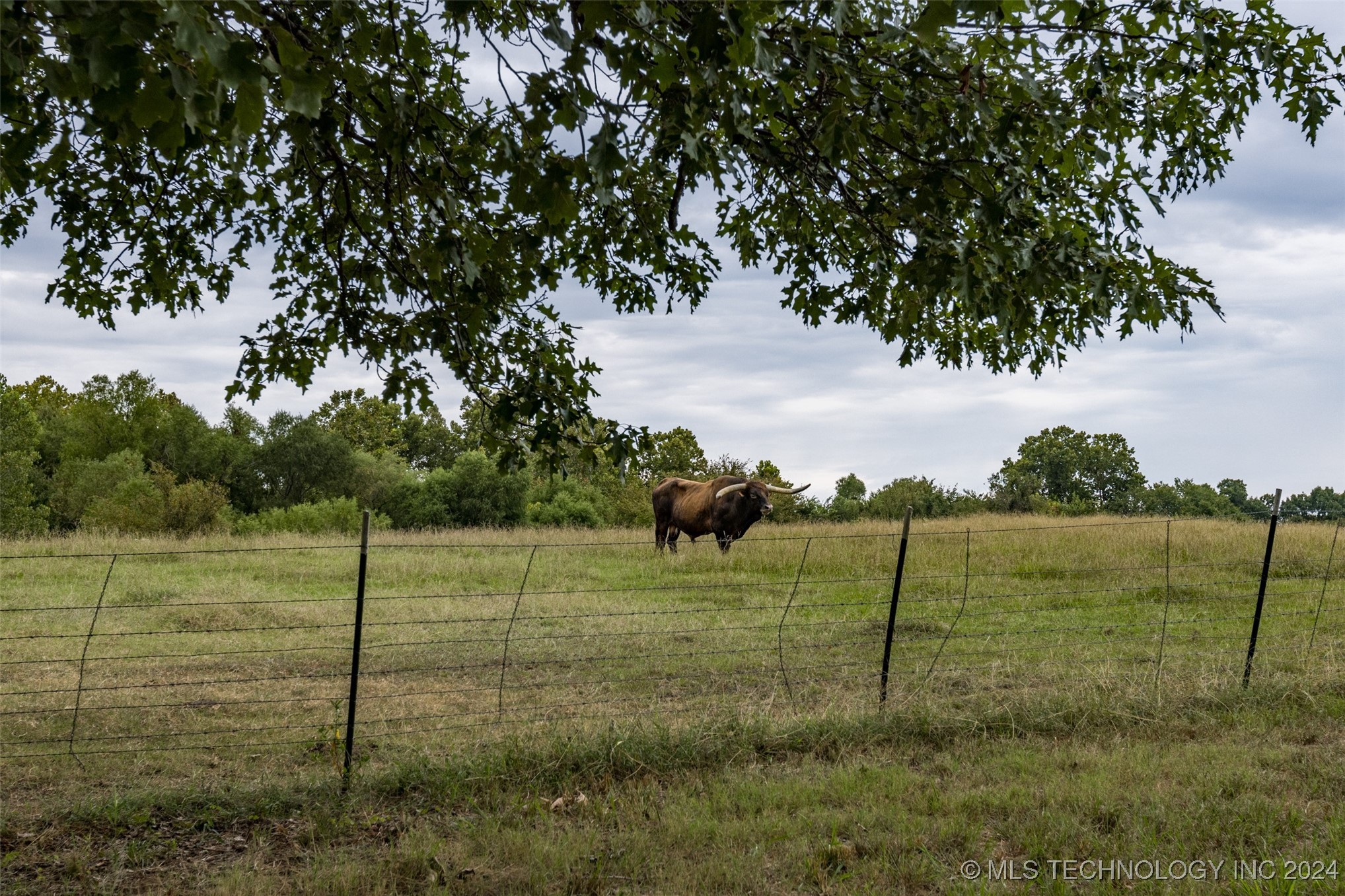 12717 S Chisolm Property Photo 12