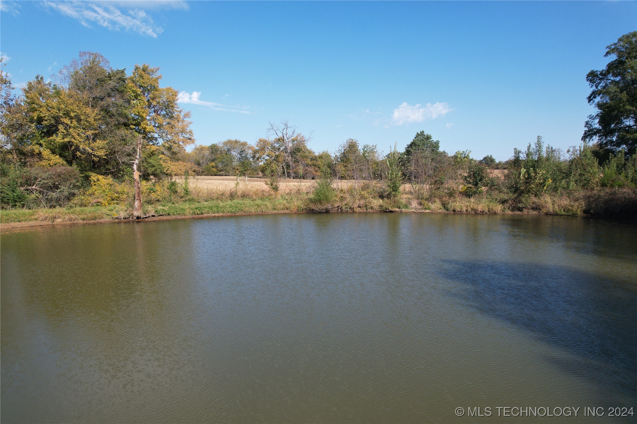20314 Williams Property Photo 6