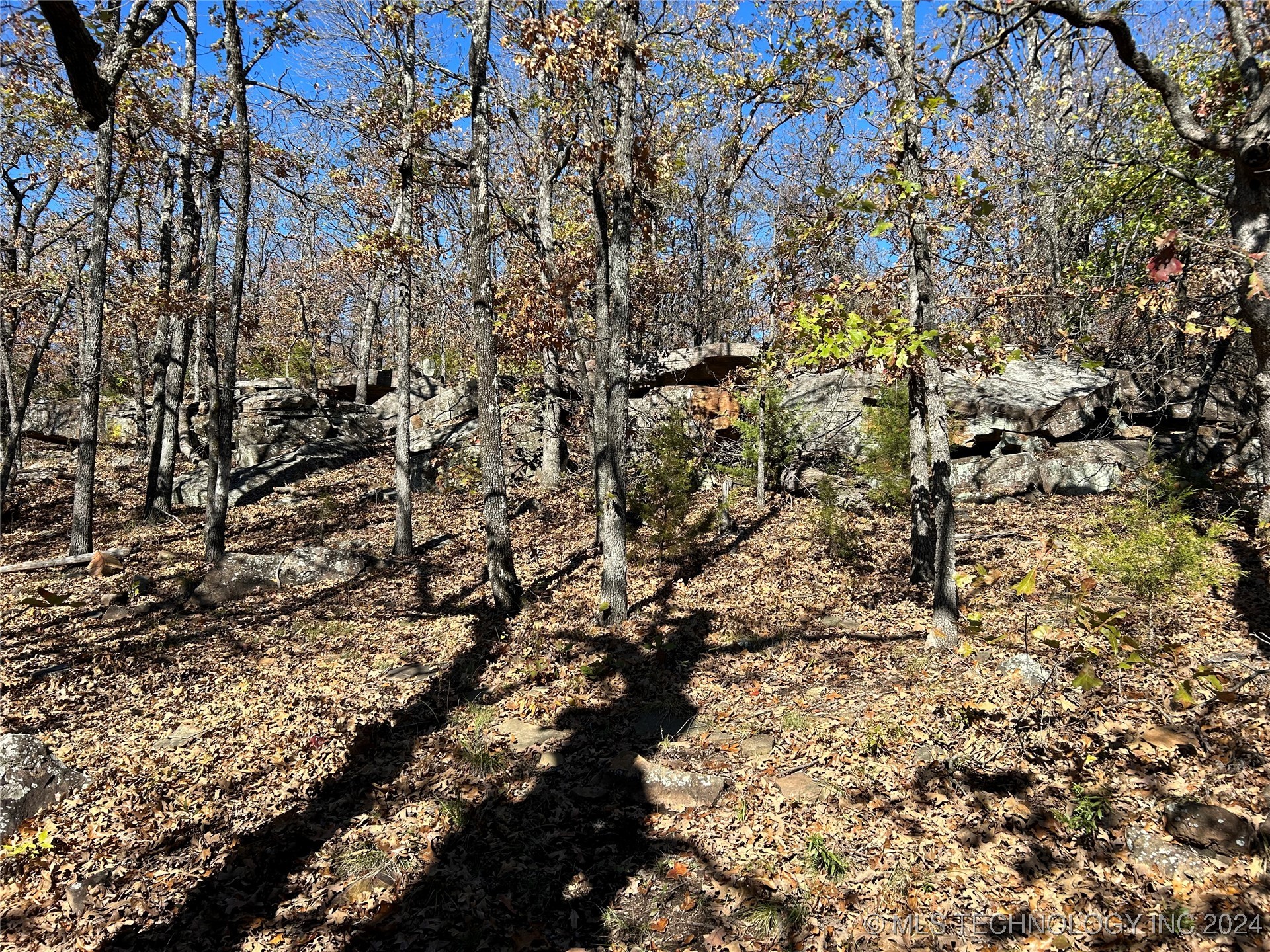 1639 Hwy 60 Property Photo 50