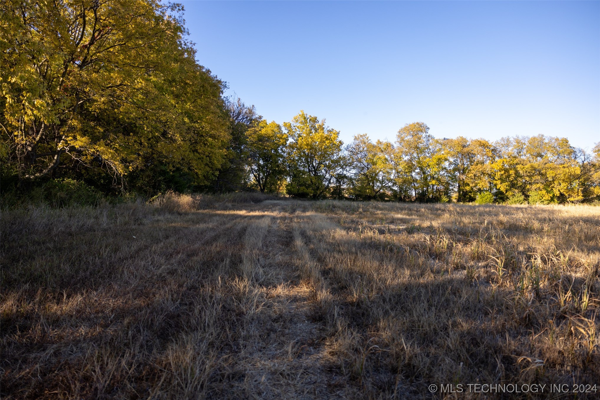 2 W Oak Street Property Photo 6