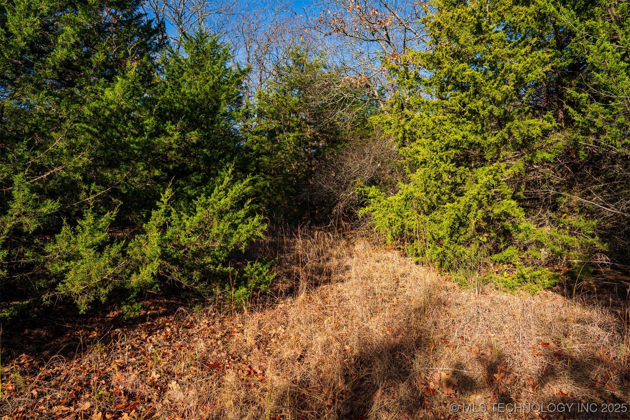 1 E 575 Road Property Photo 44