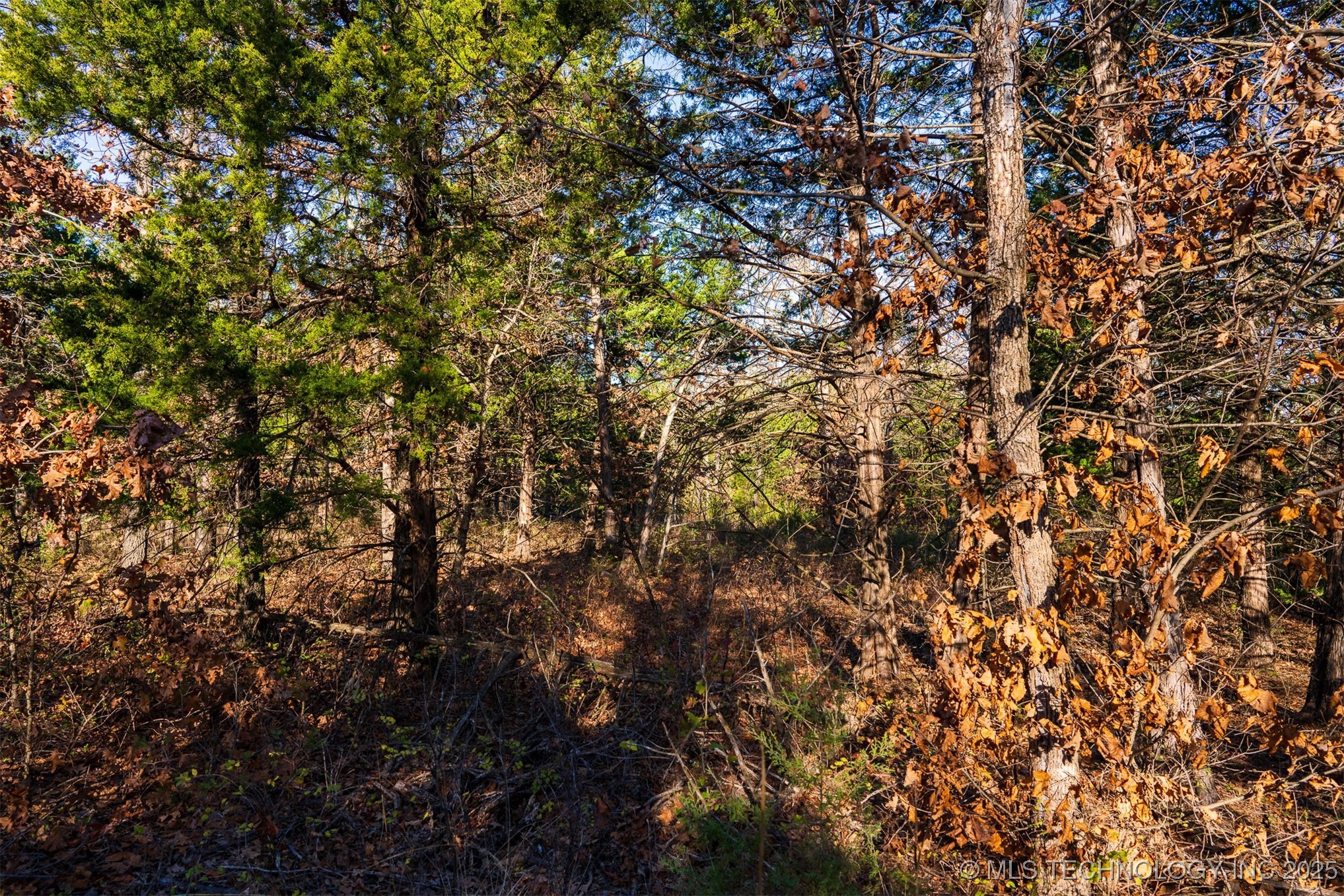 1 E 575 Road Property Photo 48