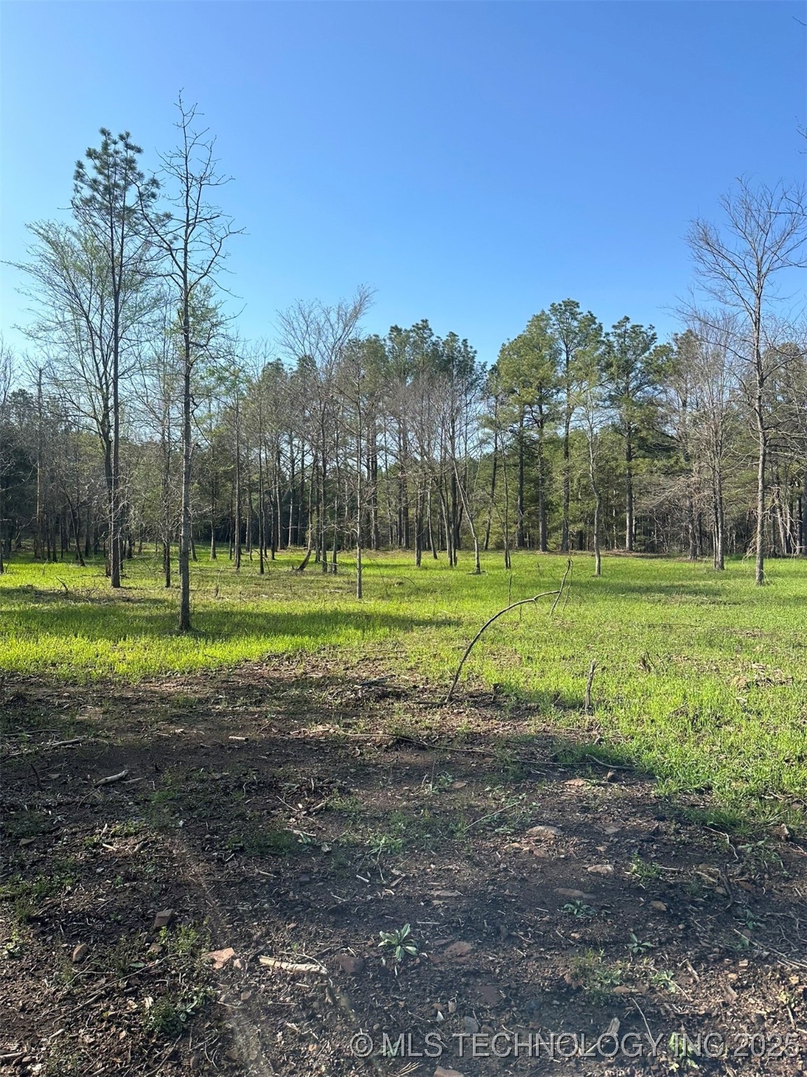 Us Hwy 271 Property Photo 1