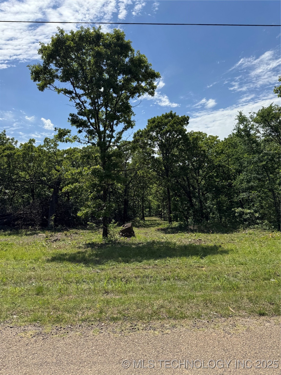 Black Jack Trail Property Photo 1
