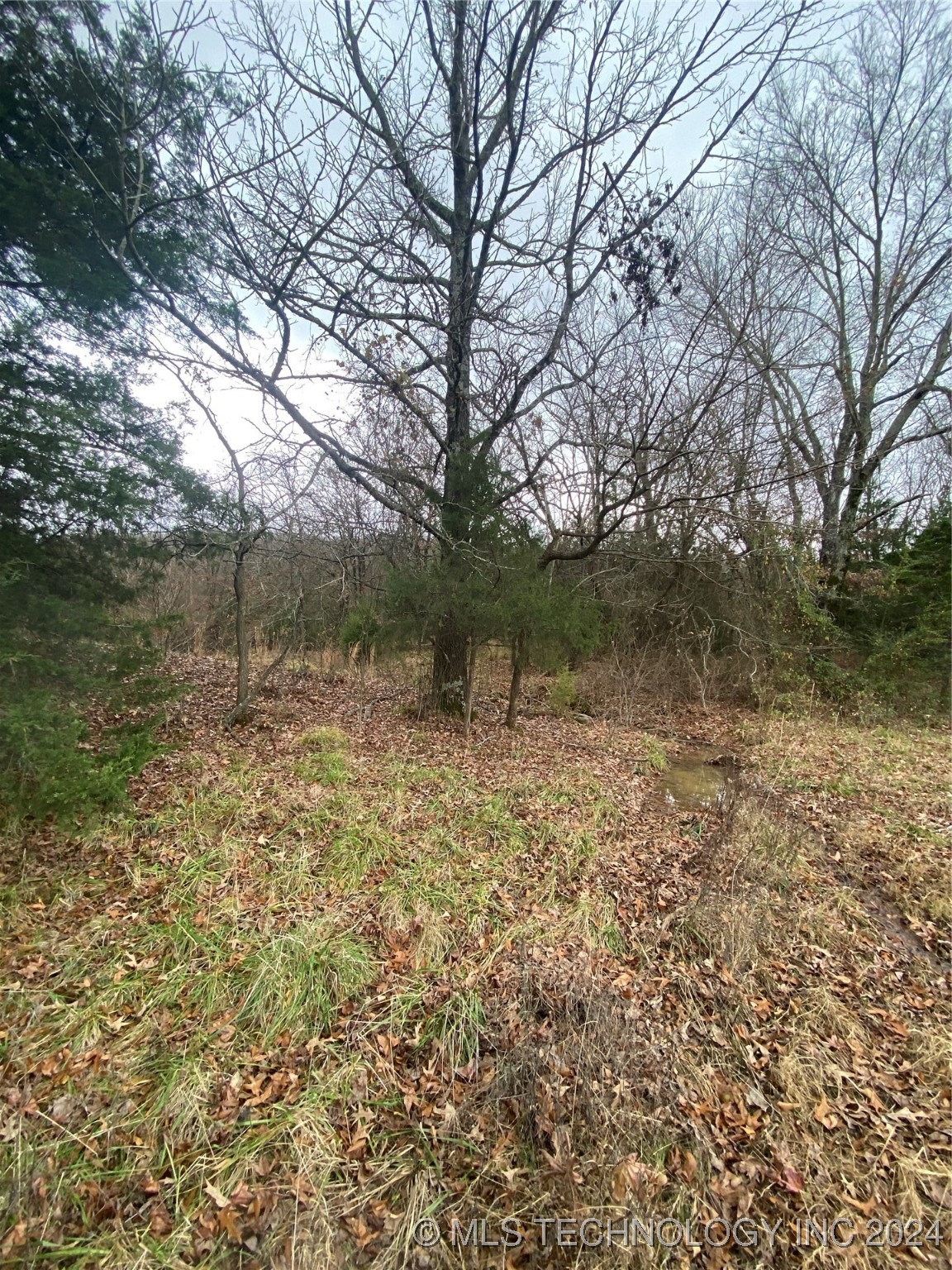 19357 Poker Bend Road Property Photo 37
