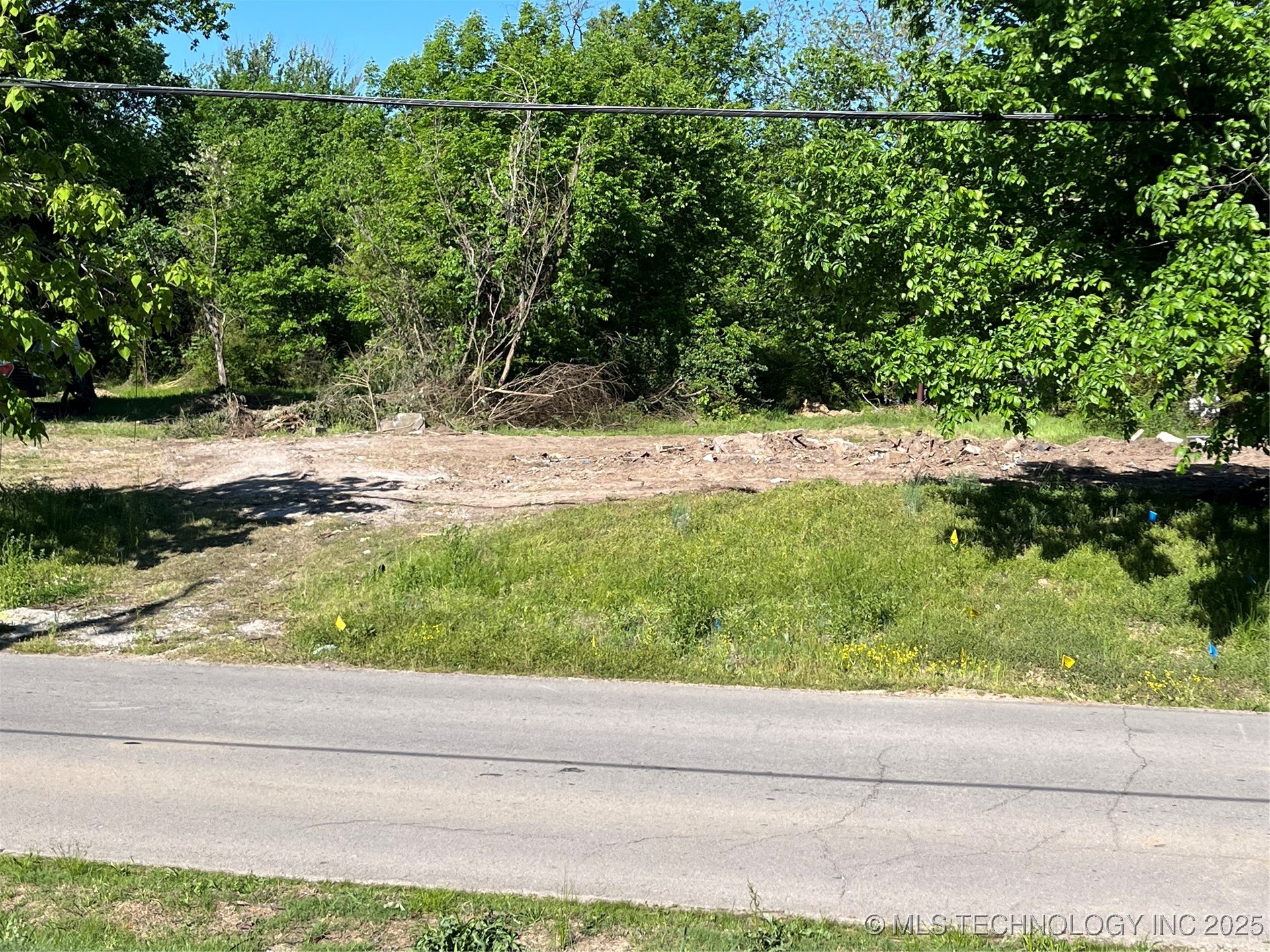 520 S Division Street Property Photo 1