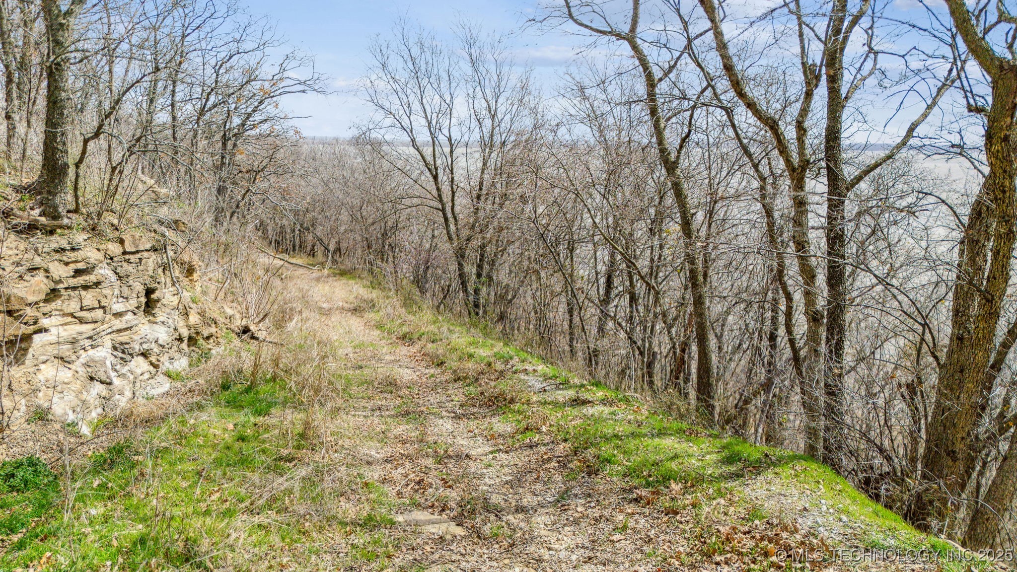 10442 E Lou Ridge Road Property Photo 38