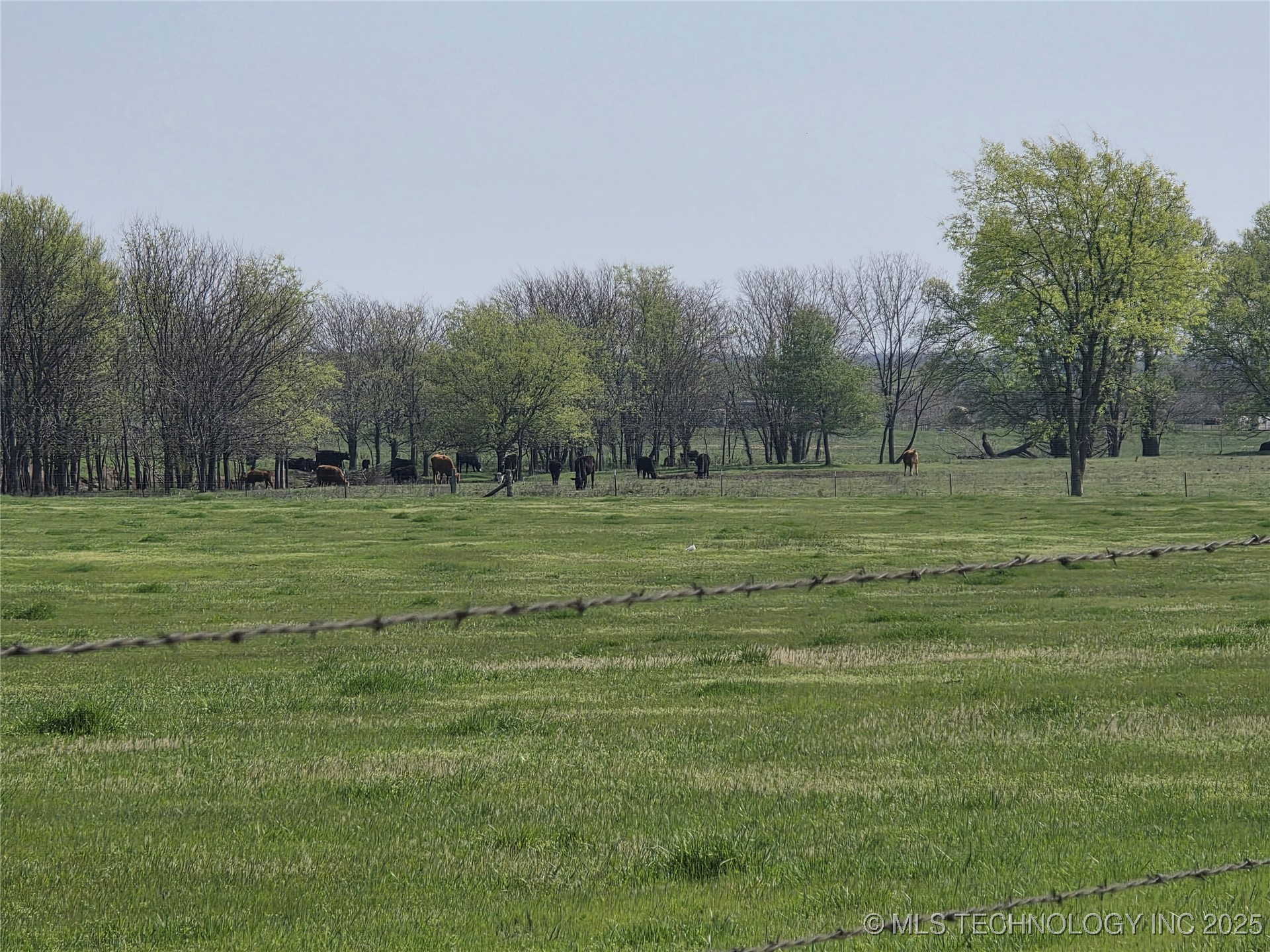 426494 E 250 Road Property Photo 6