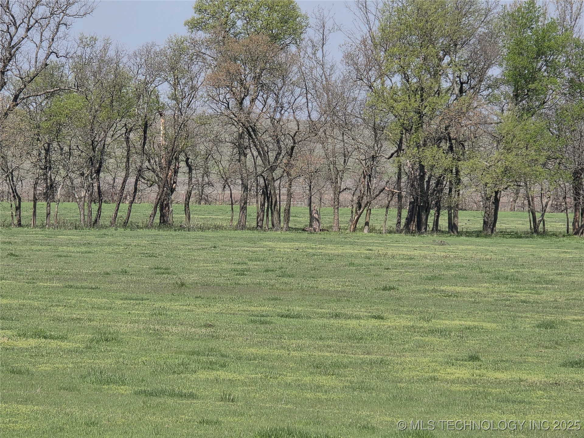 426494 E 250 Road Property Photo 9